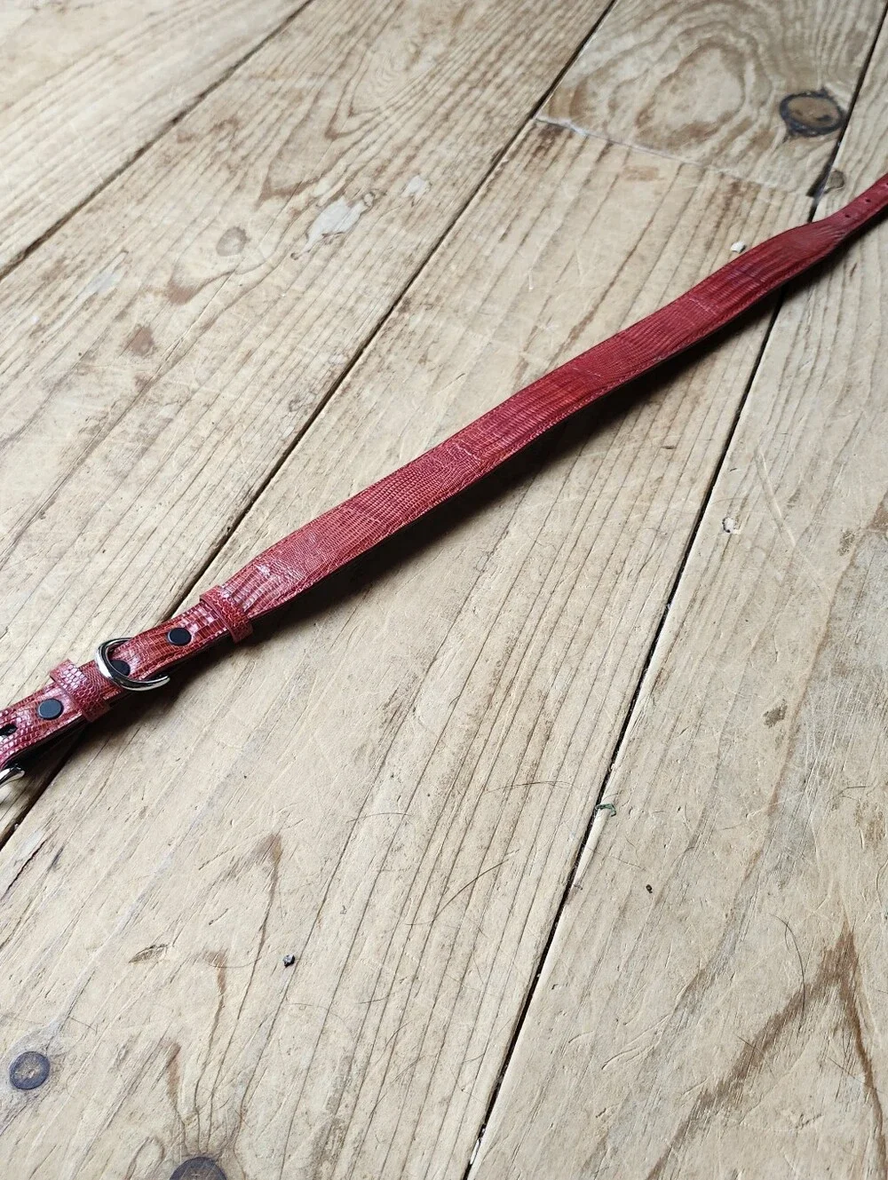 Red Lizard Large Dog Collar.